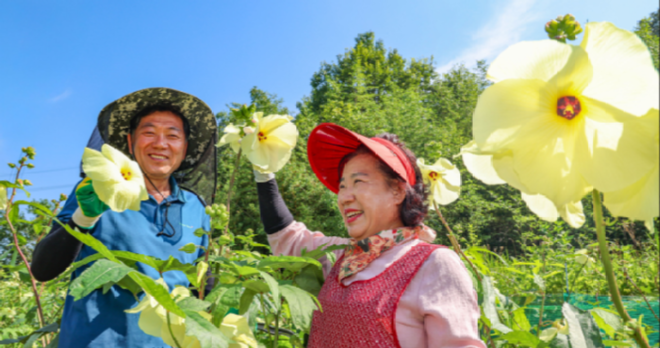 캡처 산청1.PNG