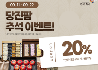 캡처 당진.PNG