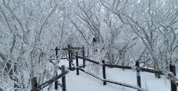 캡처123456.PNG