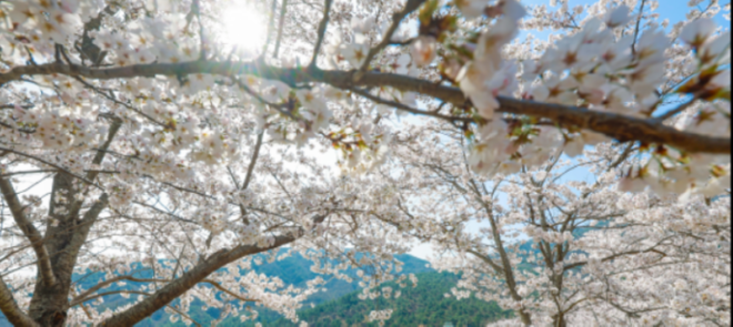 삼장3.png
