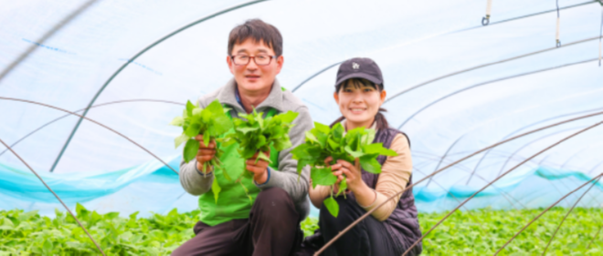 산청4.png