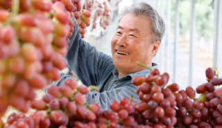 캡처 포도2.PNG