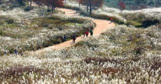 캡처 3333333333.PNG