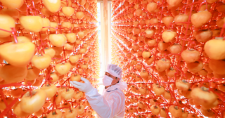 캡처00000000000.PNG