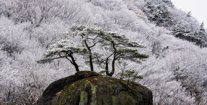 캡처 지리산 첫눈.PNG
