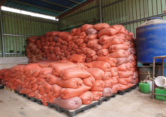 스크린샷 2025-01-09 141241.png