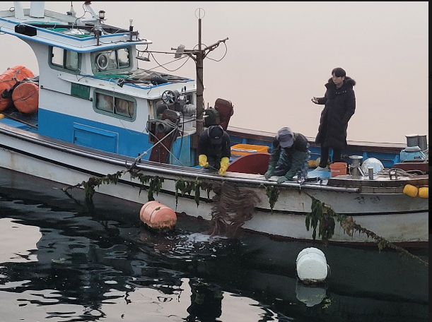 인공수정란 방류.PNG