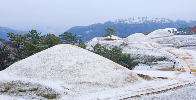저화질_말이산고분군 길2.jpg