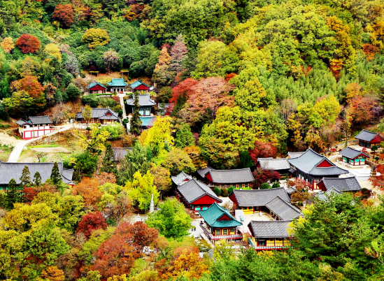 스크린샷 2025-01-23 200146.png