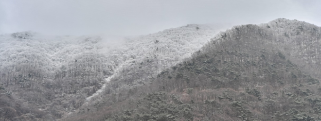 캡처 설경2.PNG
