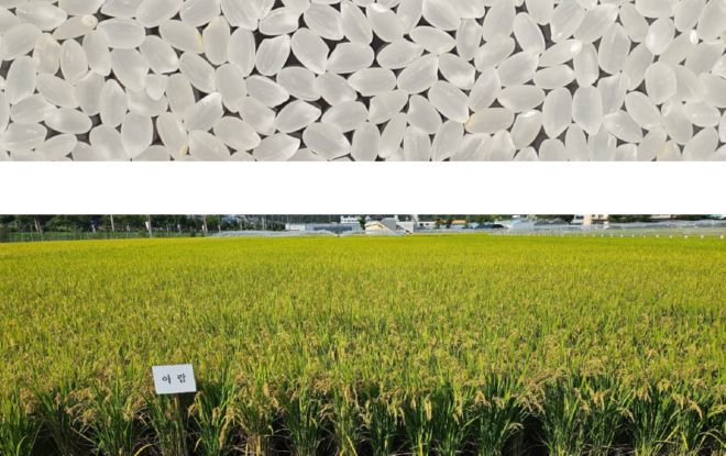 캡처 dkfka아람.PNG