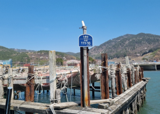 스크린샷 2025-02-20 194630.png