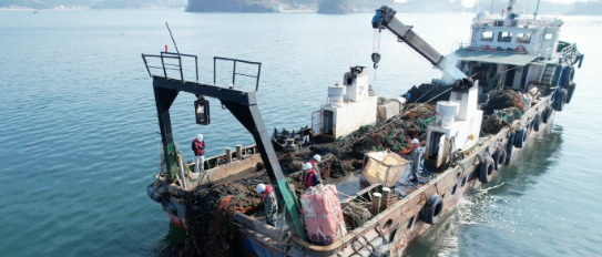 캡처 GOTKD해상.PNG