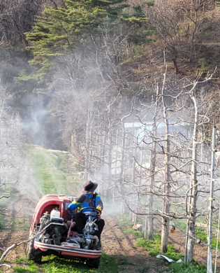 스크린샷 2025-03-07 195738.png