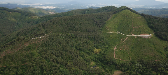 캡처 의령선도산림단지 전경.PNG