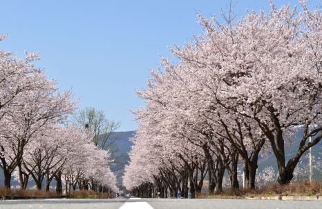 스크린샷 2025-03-17 185738.png