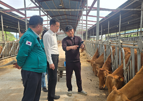 스크린샷 2025-04-24 203804.png