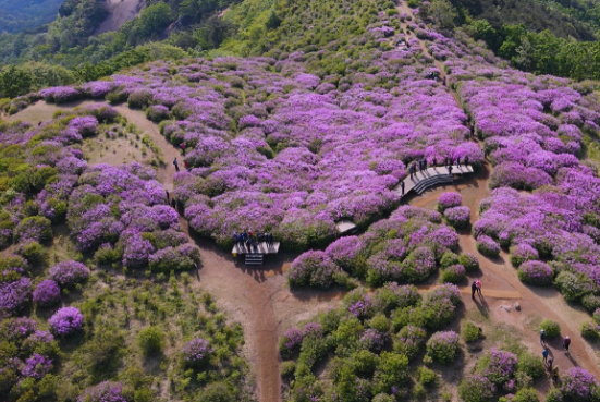 스크린샷 2025-05-19 200536.png