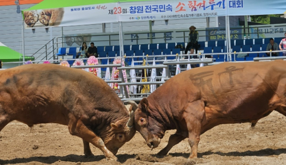 캡처TH00000000000000.PNG