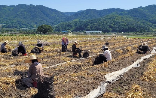 스크린샷 2025-06-05 194653.png