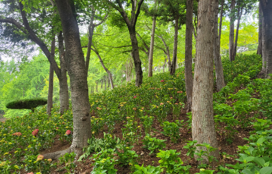 스크린샷 2025-06-12 174119.png