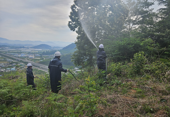 12일 창원특례시 의창구 동읍 봉곡리 과수농가 일대 산림 협업방제 광경.png