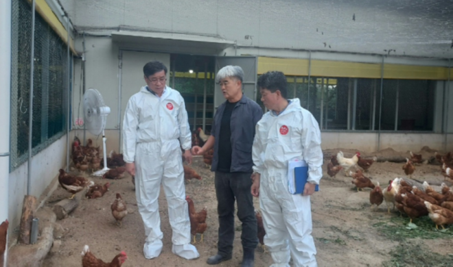 캡처 진병영.PNG