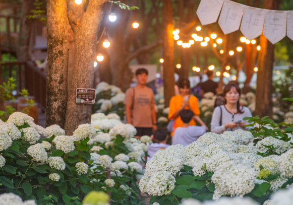 스크린샷 2025-07-14 184149.png