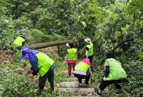 스크린샷 2025-07-22 182745.png