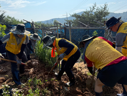 스크린샷 2025-07-24 180810.png