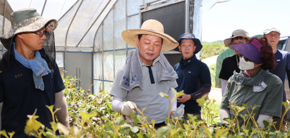 캡처 박지사2.PNG