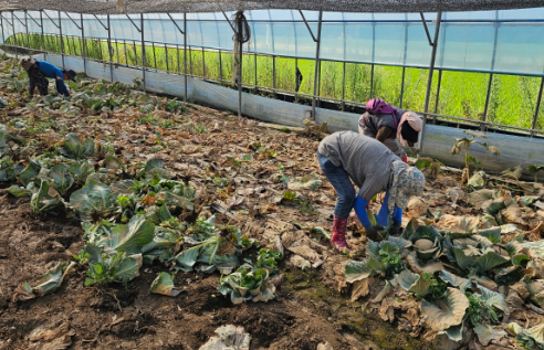 스크린샷 2025-08-05 185212.png