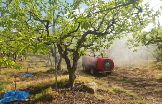 캡처 ㄷ나감.PNG