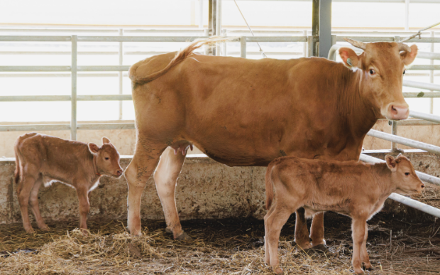 스크린샷 2025-09-04 164707.png