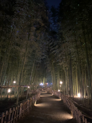 스크린샷 2025-09-04 164850.png