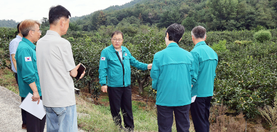 캡처 장금용.PNG