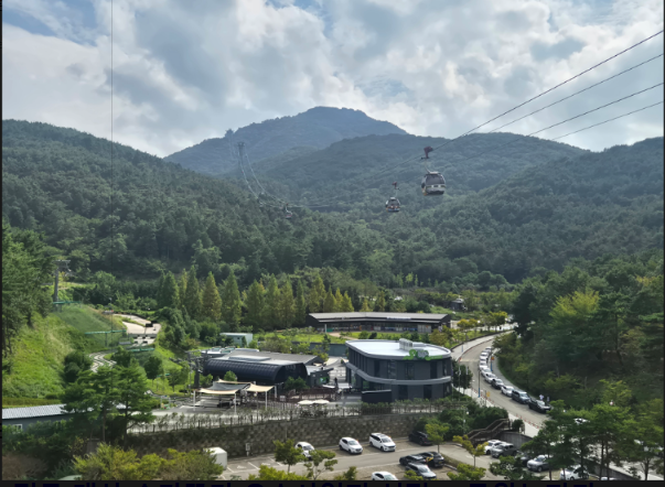 통영시 숲가꾸기.PNG