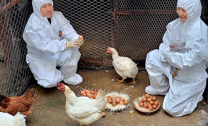 스크린샷 2025-11-26 162134.png