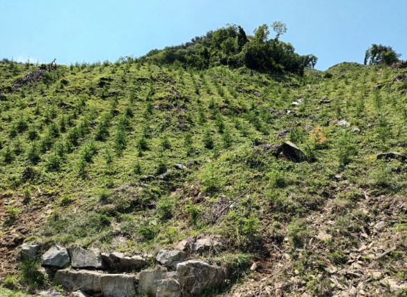 스크린샷 2025-12-10 161319.png