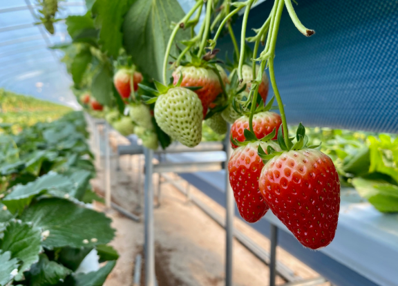 스크린샷 2026-01-06 161128.png