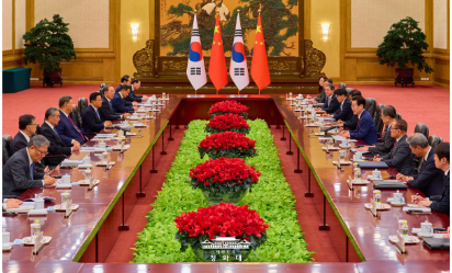 캡처 한중 정상회단ㅁ.PNG