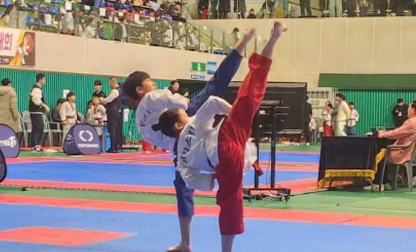 캡처 옆차기 사진.PNG