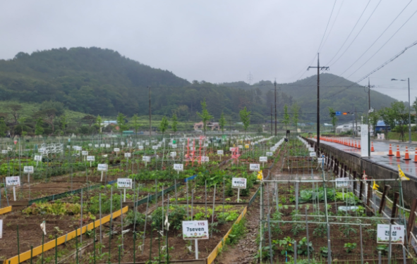 스크린샷 2026-02-20 192031.png