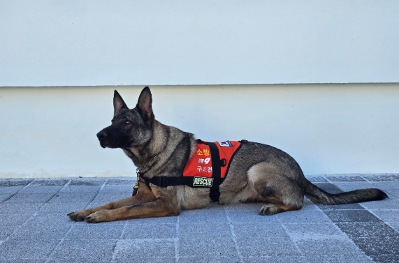 스크린샷 2026-03-10 163552.png