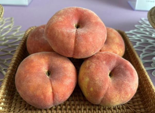 스크린샷 2026-03-17 162333.png