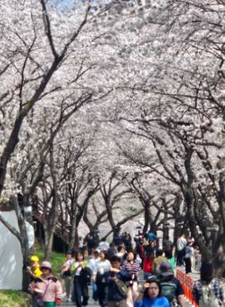 스크린샷 2026-04-01 114028.png