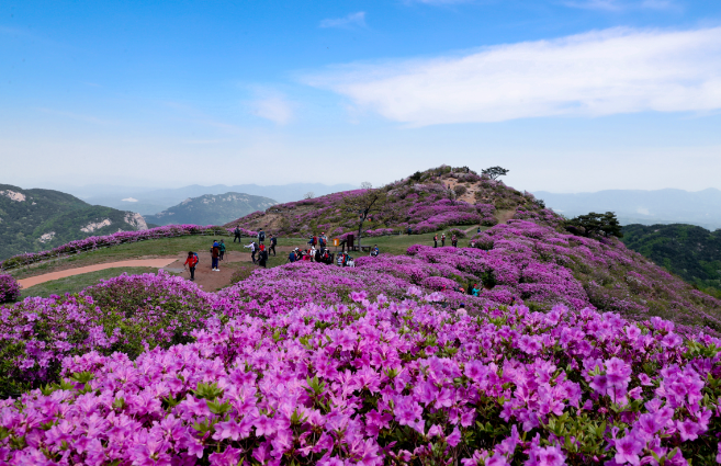 스크린샷 2026-04-14 124507.png