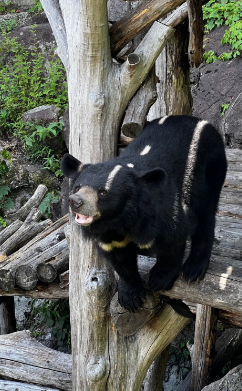 스크린샷 2026-04-17 113007.png