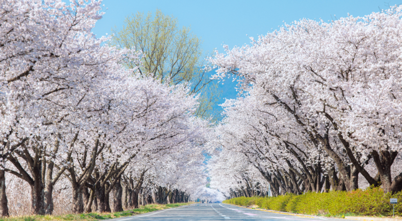 스크린샷 2026-04-20 105510.png