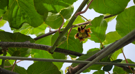 스크린샷 2026-04-21 175118.png